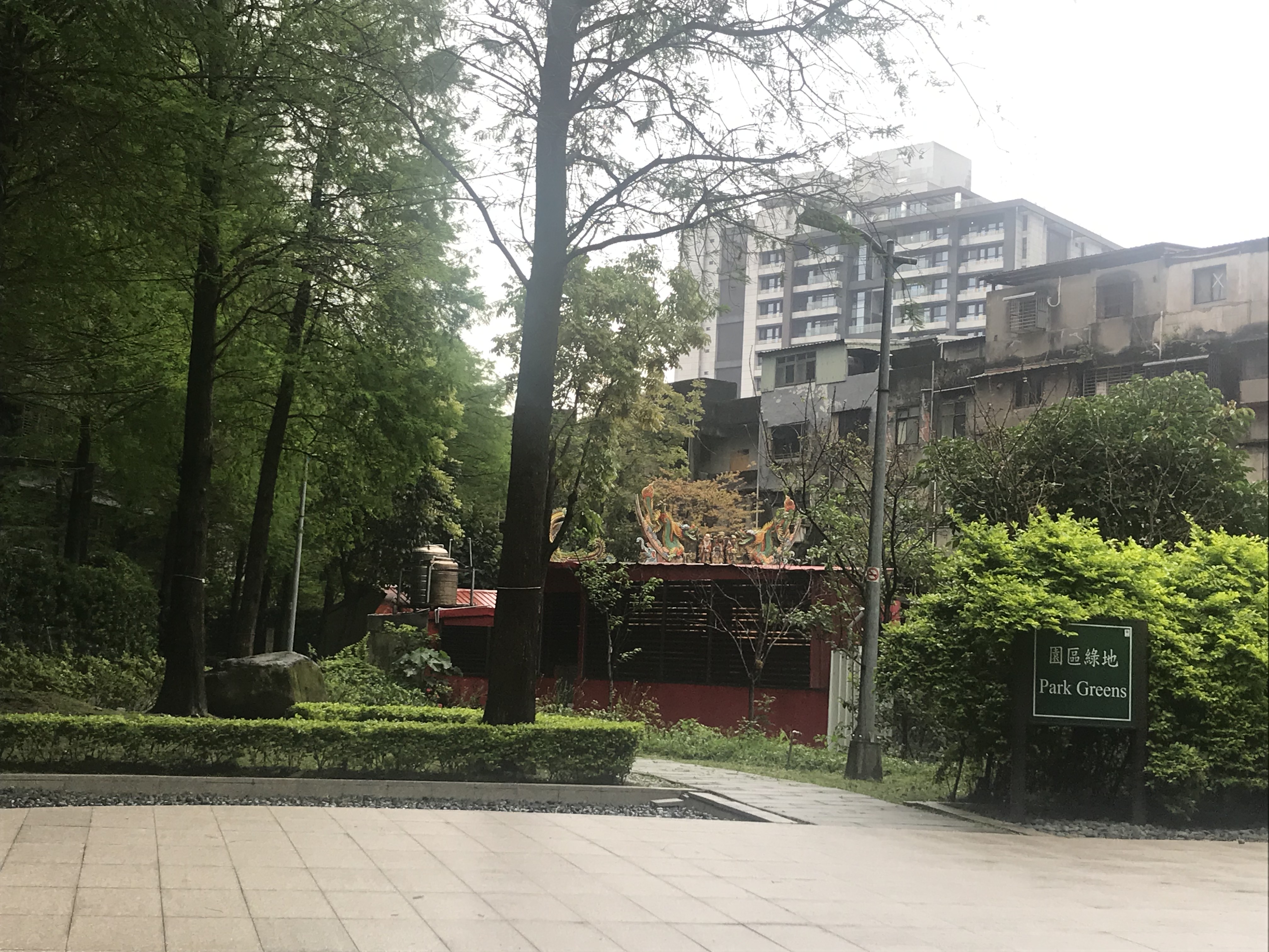 南港65號園區綠地.jpg